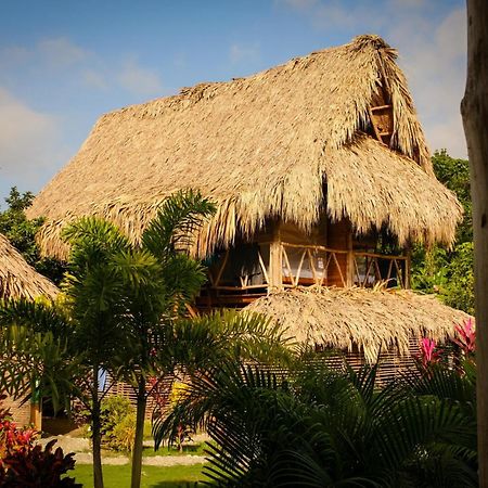 Encanto Hostel Guachaca Zewnętrze zdjęcie