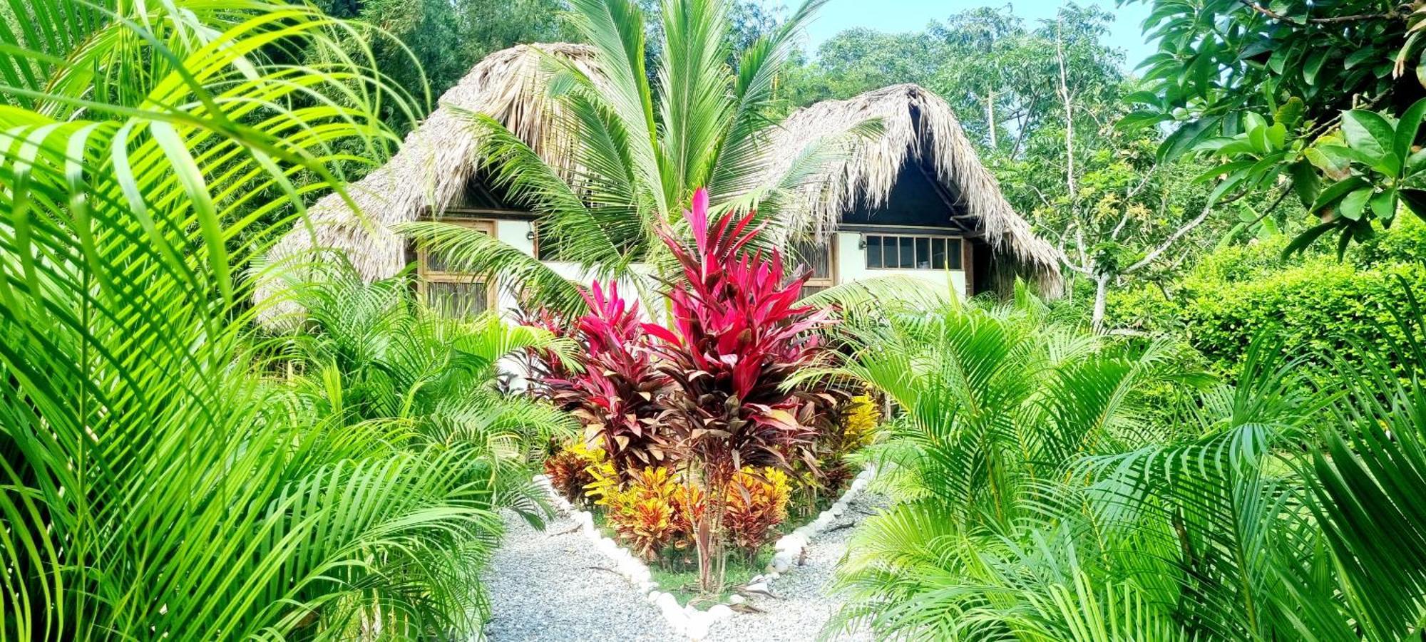 Encanto Hostel Guachaca Zewnętrze zdjęcie