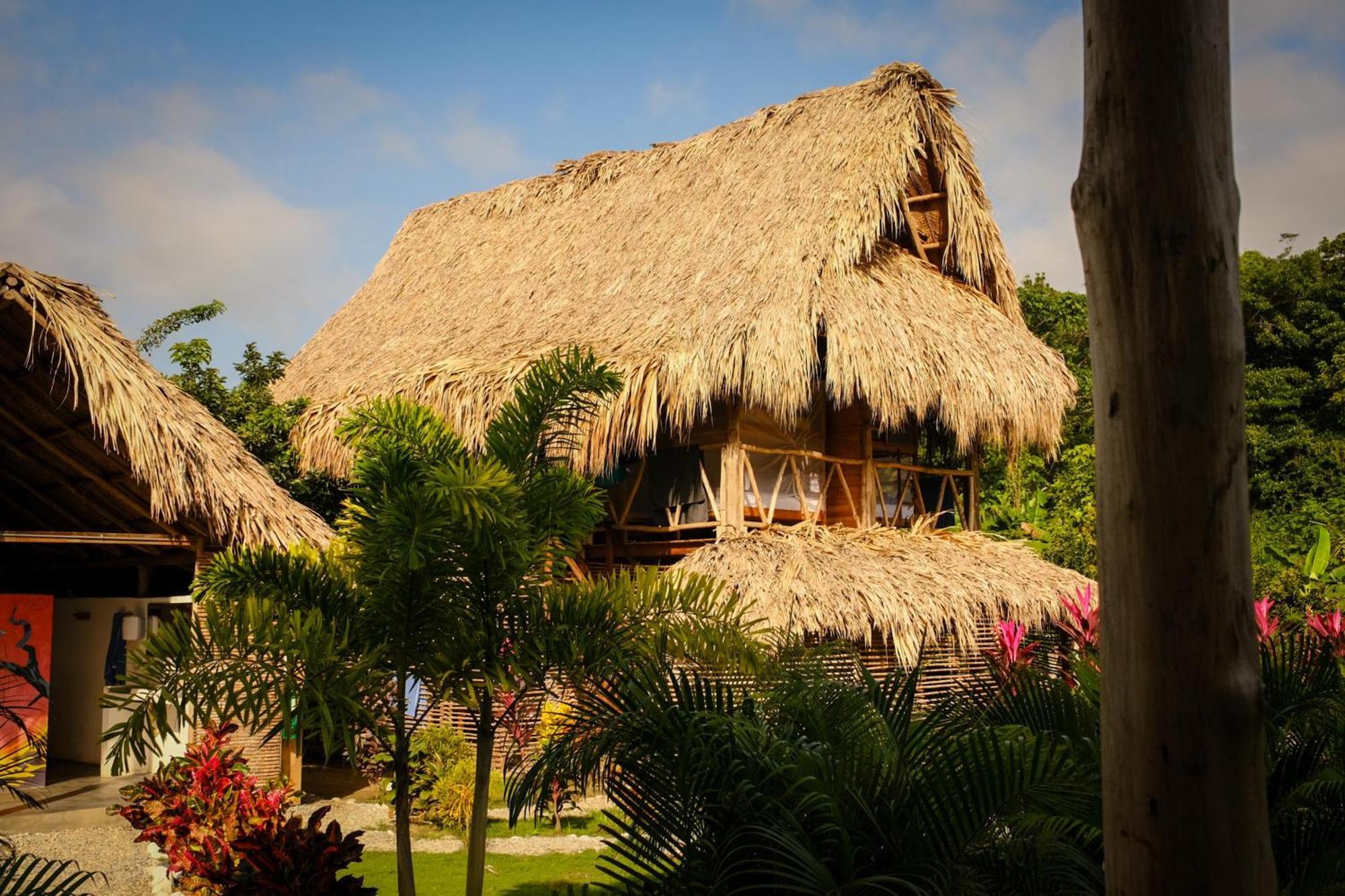 Encanto Hostel Guachaca Zewnętrze zdjęcie